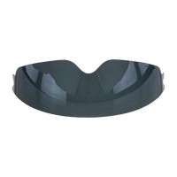 NITRO X583 Sun Visor Tinted